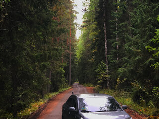2014 Chevrolet Cobalt II, серый, 700000 рублей, вид 5