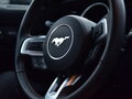 2015 Ford Mustang VI, серый - вид 10