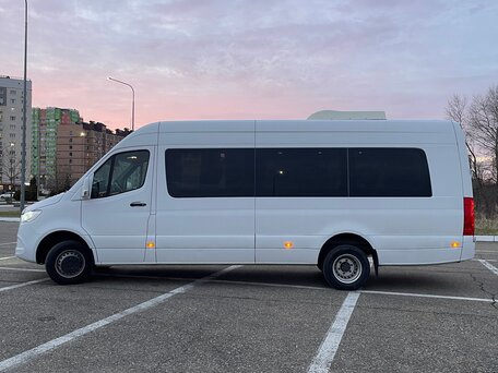 2019 Mercedes-Benz Sprinter, белый, 7200000 рублей, вид 3