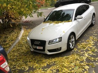 2010 Audi A5 I (8T), белый, 1666000 рублей, вид 5