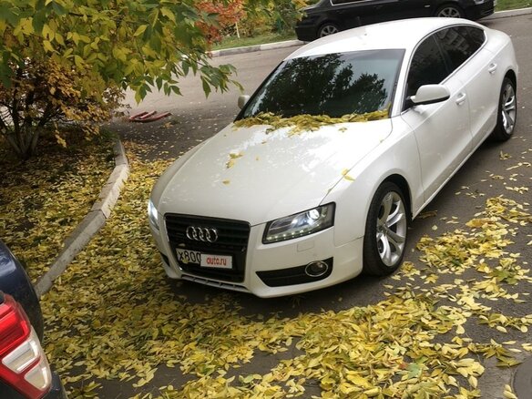 2010 Audi A5 I (8T), белый, 1666000 рублей - вид 4