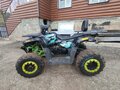 2021 Motoland Wild Track 200, чёрный, 140000 рублей - вид 2