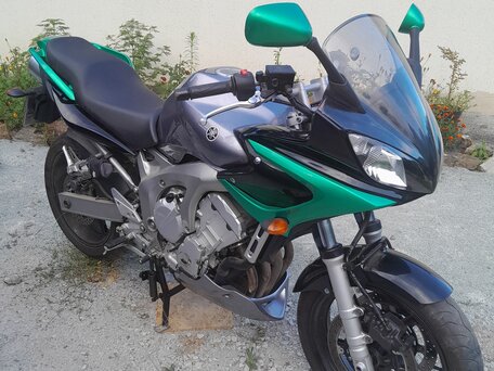 2005 Yamaha FZS600 Fazer, серый, 370000 рублей, вид 4