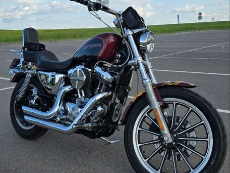 2001 Harley-Davidson Sportster 1200, пурпурный, 440000 рублей, вид 1