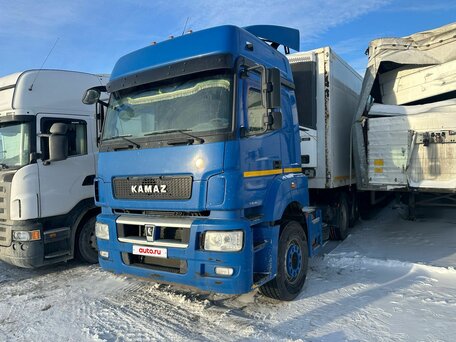 2018 КамАЗ 65209, синий, 2800000 рублей, вид 5