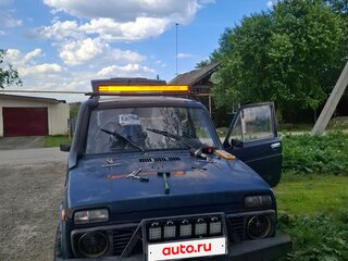 1996 Lada (ВАЗ) 2121 (4x4) I Рестайлинг, зелёный, 220000 рублей, вид 5