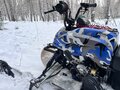 2013 Irbis Dingo, синий, 125000 рублей - вид 3