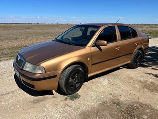 2001 Skoda Octavia I (A4) Рестайлинг, бежевый, 490000 рублей, вид 1