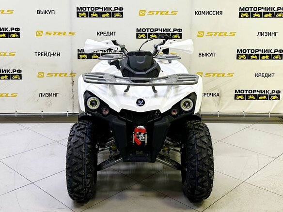 2025 Bison ATV200, белый - вид 6