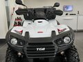 2022 TGB Blade 500, белый - вид 4