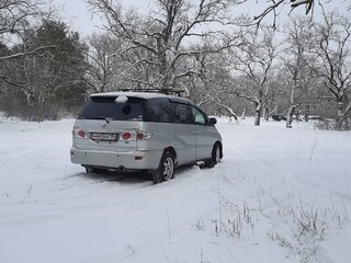 2002 Toyota Estima II, серебристый, 700000 рублей, вид 5