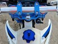 2020 Avantis FX 250, белый, 172000 рублей - вид 8