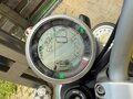 2019 Ducati Scrambler 800, жёлтый, 780000 рублей - вид 2