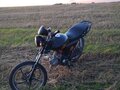 2022 Motoland Alpha, чёрный, 46999 рублей - вид 9
