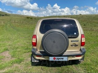 2004 Chevrolet Niva I, бежевый, 350000 рублей, вид 4