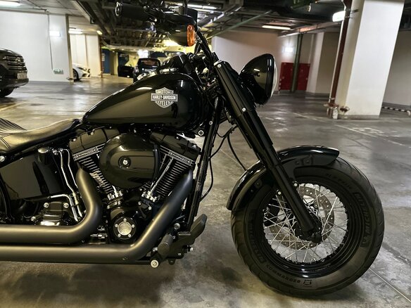 2016 Harley-Davidson Softail Slim, чёрный, 2500000 рублей - вид 5