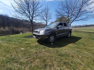 2001 Hyundai Santa Fe I, коричневый, 600000 рублей, вид 5