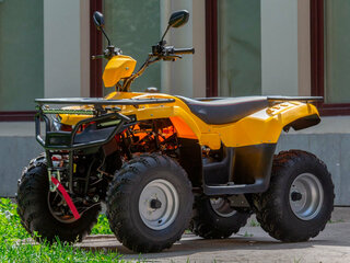2024 Irbis ATV 200U, жёлтый, 261825 рублей, вид 1