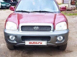 2002 Hyundai Santa Fe I, красный, 310000 рублей, вид 1