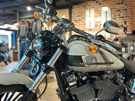 2024 Harley-Davidson Breakout, серебристый, 3850000 рублей, вид 4