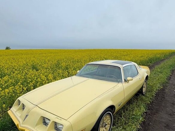 1980 Pontiac Firebird II, жёлтый - вид 8