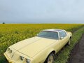1980 Pontiac Firebird II, жёлтый - вид 8