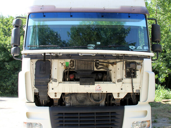 2005 DAF 95XF, белый, 2300000 рублей - вид 2