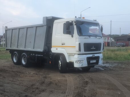 2015 МАЗ 6501, белый, 1900000 рублей, вид 5