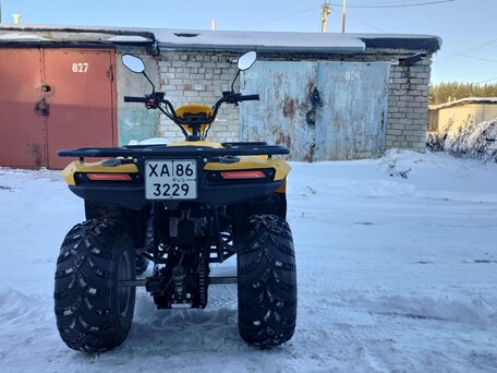 2024 Irbis ATV 200U, жёлтый, 280000 рублей, вид 3