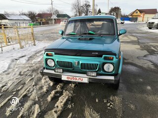 2000 Lada (ВАЗ) 2121 (4x4) I Рестайлинг, зелёный, 370000 рублей, вид 5