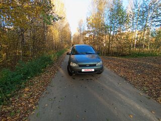 2010 Lada (ВАЗ) Kalina I, серый, 105000 рублей, вид 1