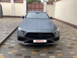 2019 Mercedes-Benz CLS AMG 53 AMG III (C257), серый, 9100000 рублей, вид 3