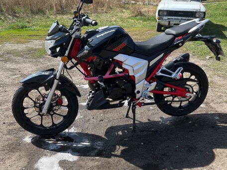 2021 Regal Raptor DD250E-5, чёрный, 170000 рублей, вид 2