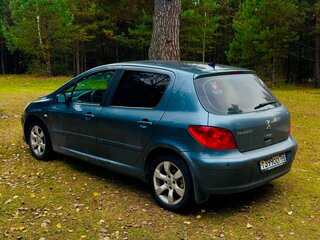 2007 Peugeot 307 I Рестайлинг, серый, 399000 рублей, вид 5