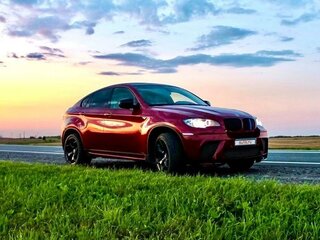 2009 BMW X6 50i 6-speed I (E71), красный, 1900000 рублей, вид 1