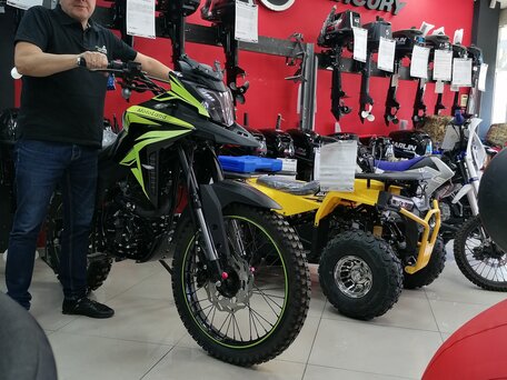 2024 Motoland Enduro 300, зелёный, 194922 рублей, вид 5