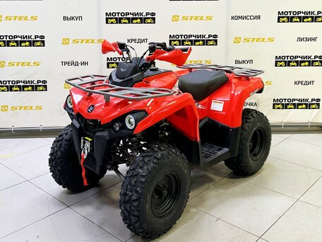 2025 Bison ATV200, красный, 218990 рублей, вид 1