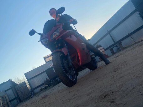 2001 Yamaha FZS1000 Fazer, красный, 300000 рублей, вид 3