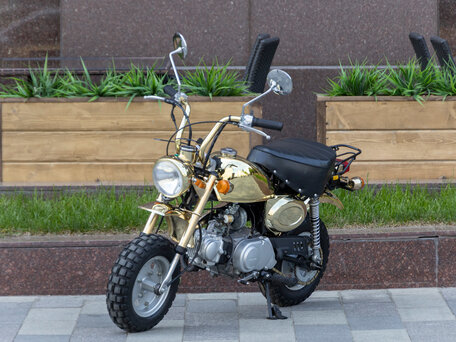 2023 Honda Z50, золотистый, 195000 рублей, вид 3