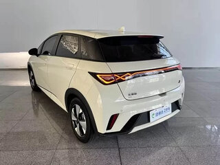 2024 BYD Dolphin 44.9 kWh I, белый, 1200000 рублей, вид 5