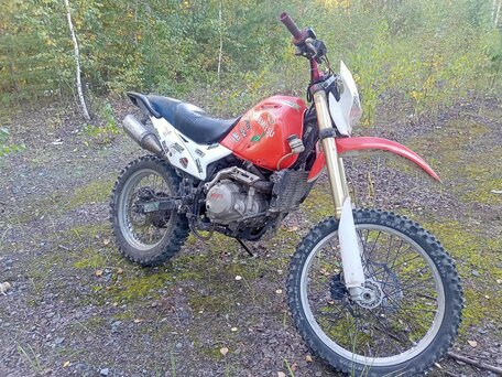 2016 Irbis TTR 125, белый, 109999 рублей, вид 2