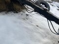 2005 НефАЗ прицеп самосвальный, оранжевый, 700000 рублей - вид 5