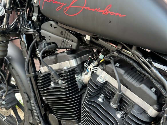 2020 Harley-Davidson Sportster 883, чёрный, 1390000 рублей - вид 6