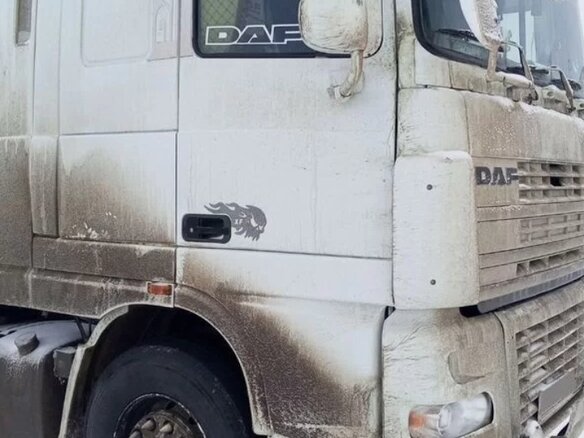 2003 DAF 95XF, белый, 3400000 рублей - вид 12