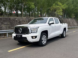 2025 Great Wall Poer King Kong 6AT, белый, 3330000 рублей, вид 1