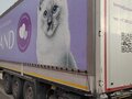 2019 Krone Profi Liner, серый, 2400000 рублей - вид 11