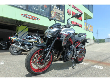 2019 Kawasaki Z 900, серый, 970000 рублей, вид 5