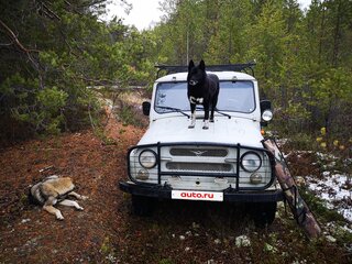 1997 УАЗ 31519, серый, 250000 рублей, вид 1