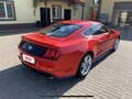 2019 Ford Mustang VI Рестайлинг, красный, 2900000 рублей - вид 4