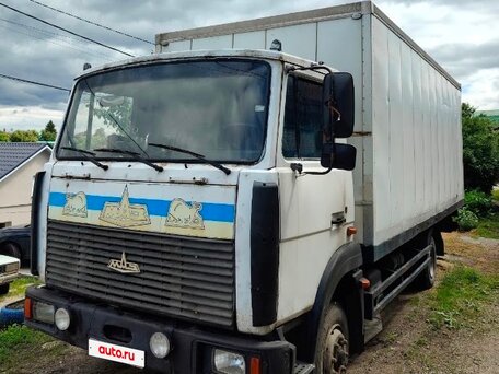 2006 МАЗ 4370, белый, 530000 рублей, вид 1